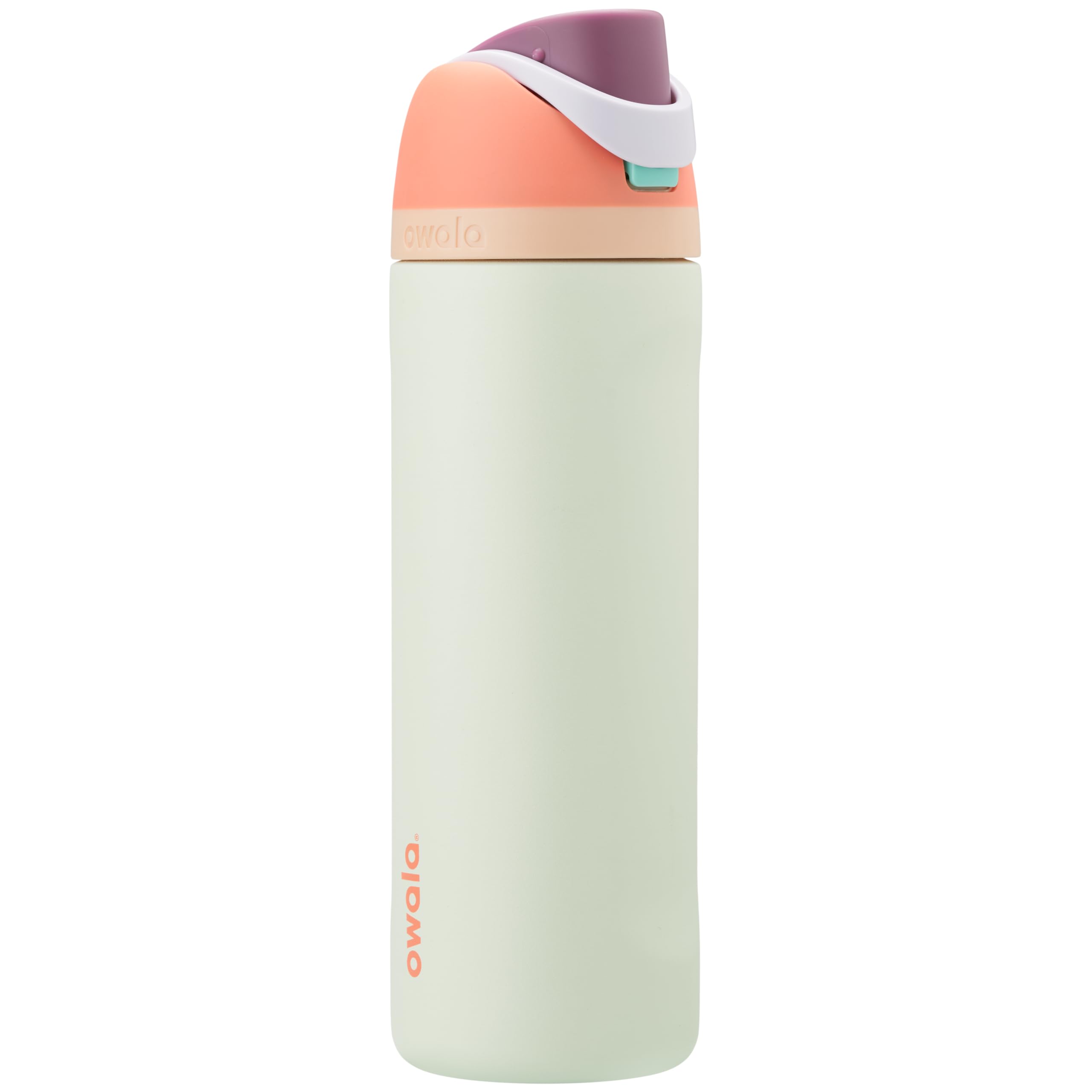 Owala FreeSip Insulated Stainless Steel Water Bottle with Straw for Sports, Travel, and School BPA-Free Sports Water Bottle, 32 oz, Boneyard (Pack of 6)